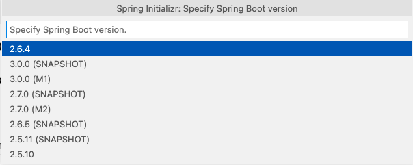 Spring Boot Version